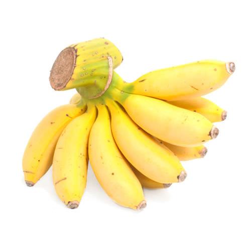 島バナナ苗 株分け苗 2年生 21cmポット 熱帯果樹苗 |  | 01