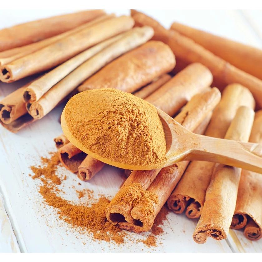 シナモン苗 13.5cmポット 観葉植物 : 宮古グリーンセンター - 通販