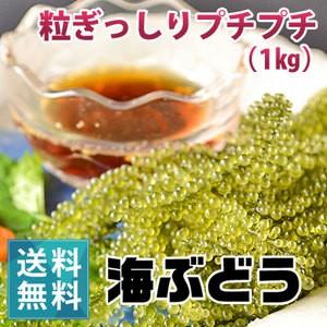 海ぶどう 1kg 朝どり新鮮な宮古島産 茎なし 沖縄 宮古島 居酒屋 小料理