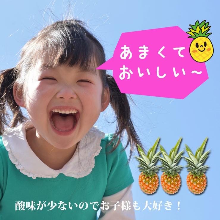 6月上旬より発送 宮古島産ピーチパイン2kg（3〜4玉）もぎたて