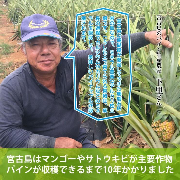 6月上旬より発送 宮古島産ピーチパイン2kg（3〜4玉）もぎたて