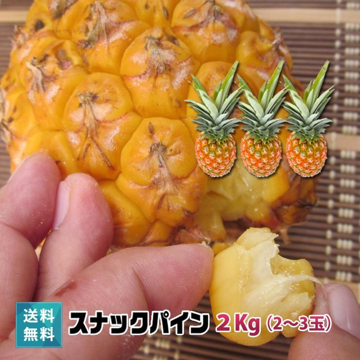 パイナップル 沖縄県宮古島より直送 送料無料 フルーツ 宮古島産スナックパイン 2kg以上 2 3玉 385じまyahoo 店 通販 Yahoo ショッピング