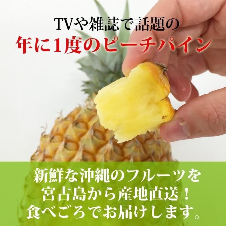 パイナップル 沖縄県宮古島より直送！【送料無料】【フルーツ