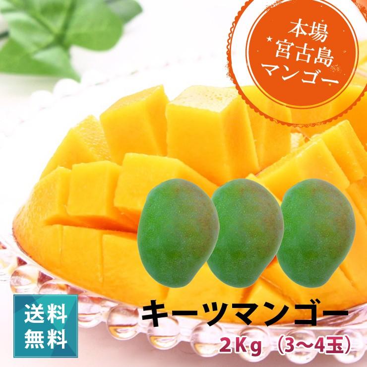 ③キーツマンゴー　3玉2キロ キーツマンゴー2kg 2〜3玉 本場の宮古島マンゴー 8月上旬より順次発送