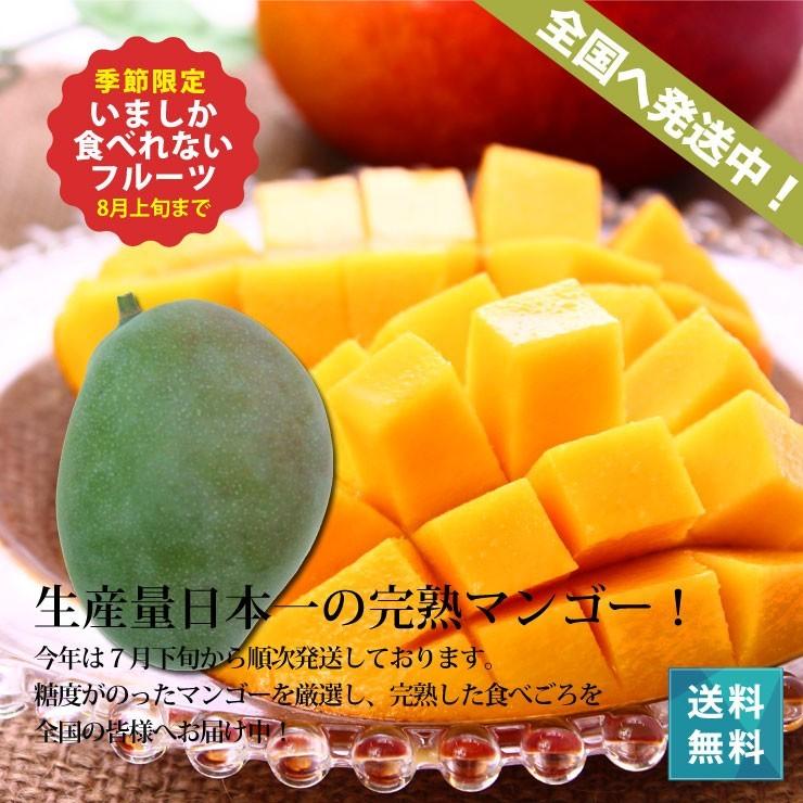 キーツマンゴー2kg 2〜3玉 本場の宮古島マンゴー 8月上旬より順次発送