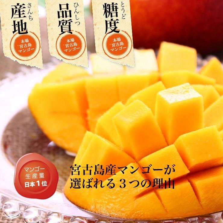 キーツマンゴー2kg 2〜3玉 本場の宮古島マンゴー 8月上旬より順次発送