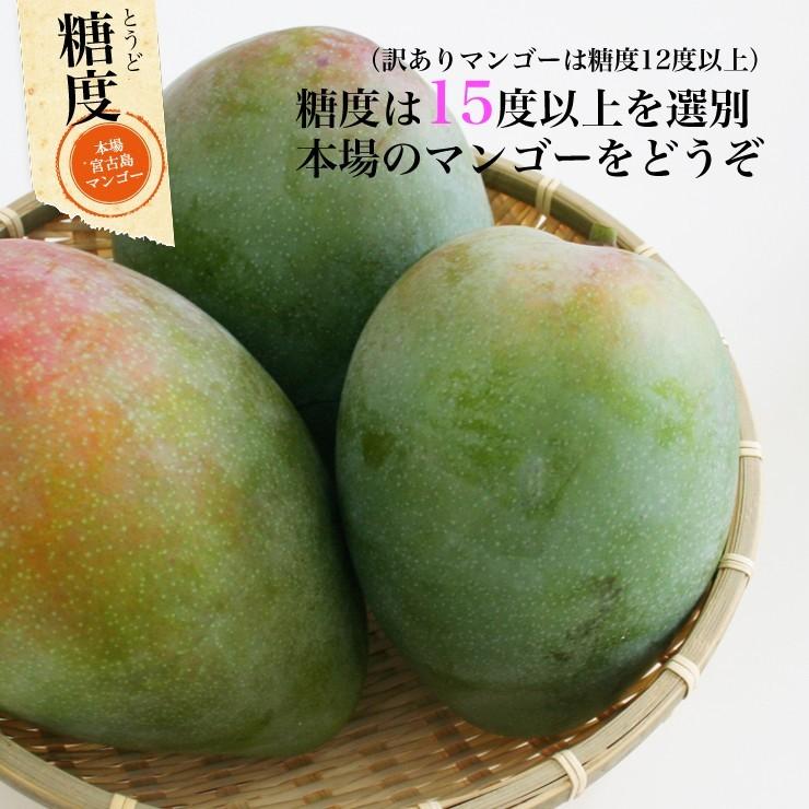 キーツマンゴー2kg 2〜3玉 本場の宮古島マンゴー 8月上旬より順次発送