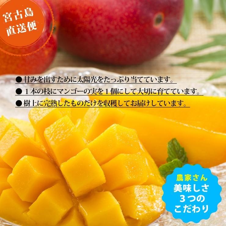 キーツマンゴー2kg 2〜3玉 本場の宮古島マンゴー 8月上旬より順次発送