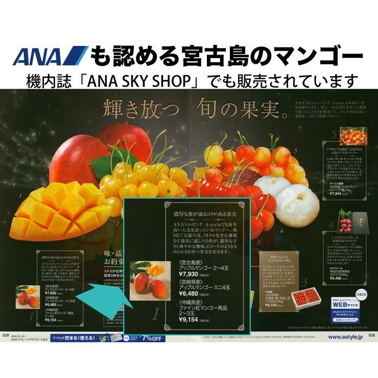 キーツマンゴー2kg 2〜3玉 本場の宮古島マンゴー 8月上旬より順次発送