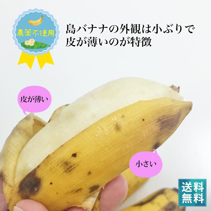 島バナナ様専用 もみじ様、専用出品◇伝統・島バナナ＆ナムワアイス