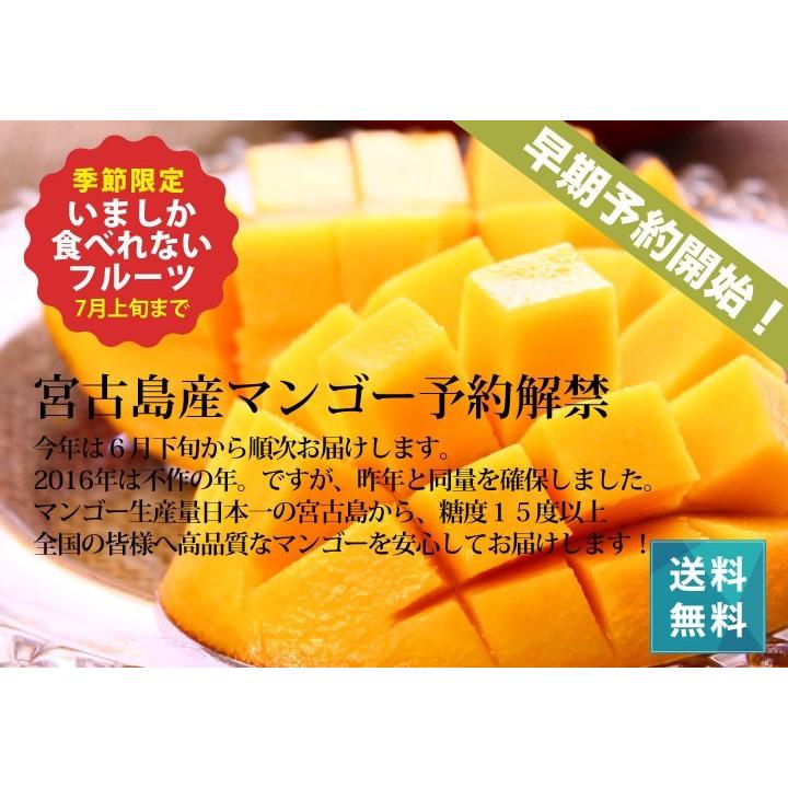 マンゴー 宮古島産 冷凍（国産）3kg 送料無料 : 385じまYahoo!店