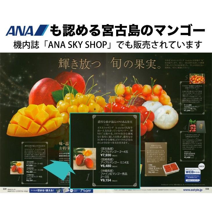 マンゴー 宮古島産 冷凍（国産）3kg 送料無料 : 385じまYahoo!店