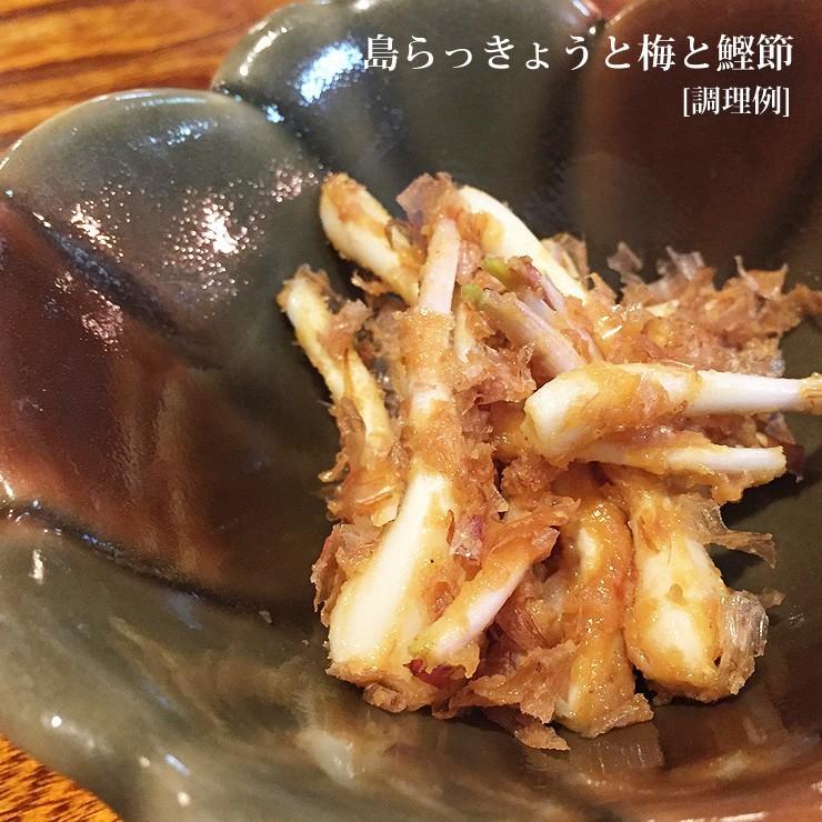島らっきょう10kg 朝獲れ : 385じまYahoo!店 - 通販 - Yahoo!ショッピング