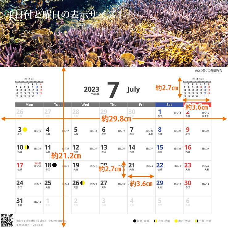 カレンダー 2026年 壁掛けA3サイズ カギスマミヤコジマ宮古島 沖縄