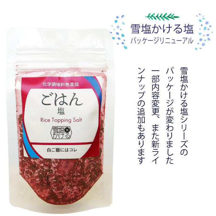 雪塩かける塩 ハイビスカス塩 料理の時短に万能調味料 他商品との同梱で送料がお得 まとめ買いに 沖縄 宮古島 パラダイスプラン 385じまyahoo 店 通販 Yahoo ショッピング