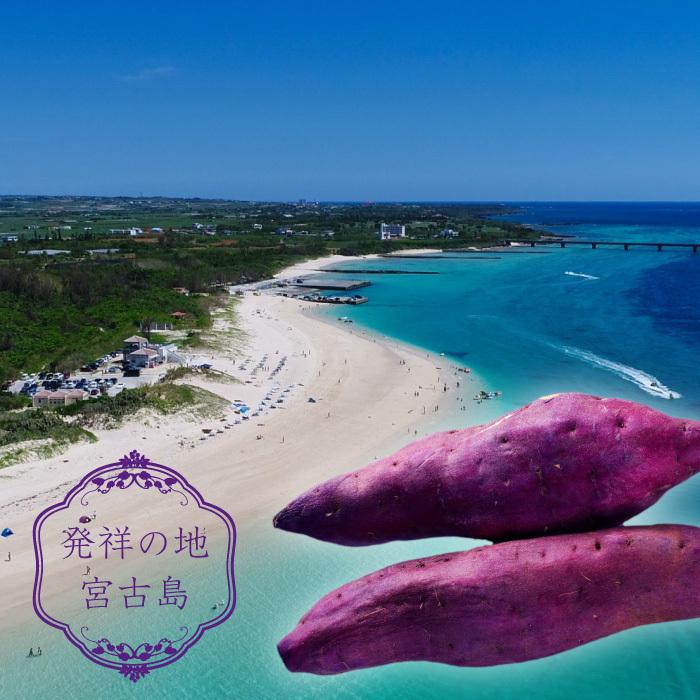 パウンドケーキ 焼き菓子 紫芋ケーキ10箱セット １箱300g程度 沖縄 宮古島産 紫芋 お土産_6