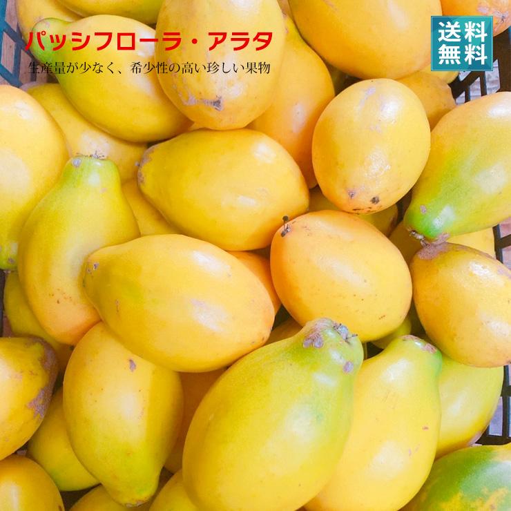 パッシフローラ・アラタ（5玉）酸味が少なく甘味が強い パッション