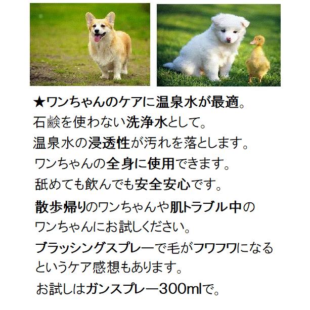 好評300mL× 3本】◎化粧ノリがいい お肌に優しい温泉水100％ ミスト