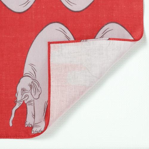 ミニエレファント×茜色（あかねいろ） |  | 01