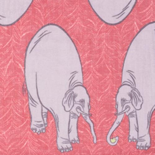 ミニエレファントグラス×蘇芳色（すおういろ） |  | 01