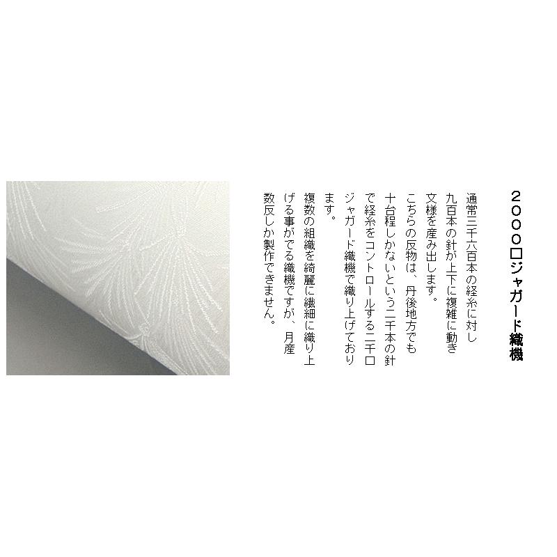 色無地　付け下げ柄　高野槙　かめのぞき【反物1反・正絹胴裏1枚・正絹縫取共色八掛1枚のセット】の画像