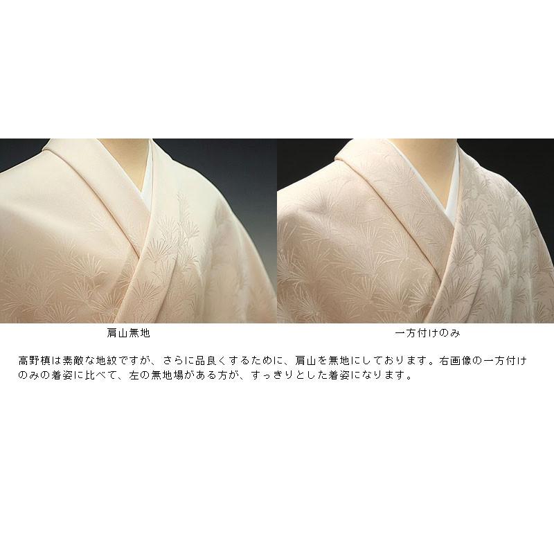 色無地　付け下げ柄　高野槙　かめのぞき【反物1反・正絹胴裏1枚・正絹縫取共色八掛1枚のセット】の画像