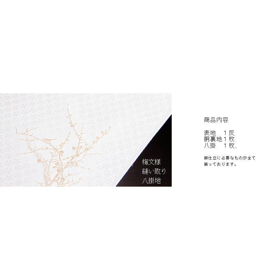 色無地　付下げ柄　紅白梅文　明るい白鼠色【反物1反・正絹胴裏1枚・正絹縫取共色八掛1枚のセット】の画像