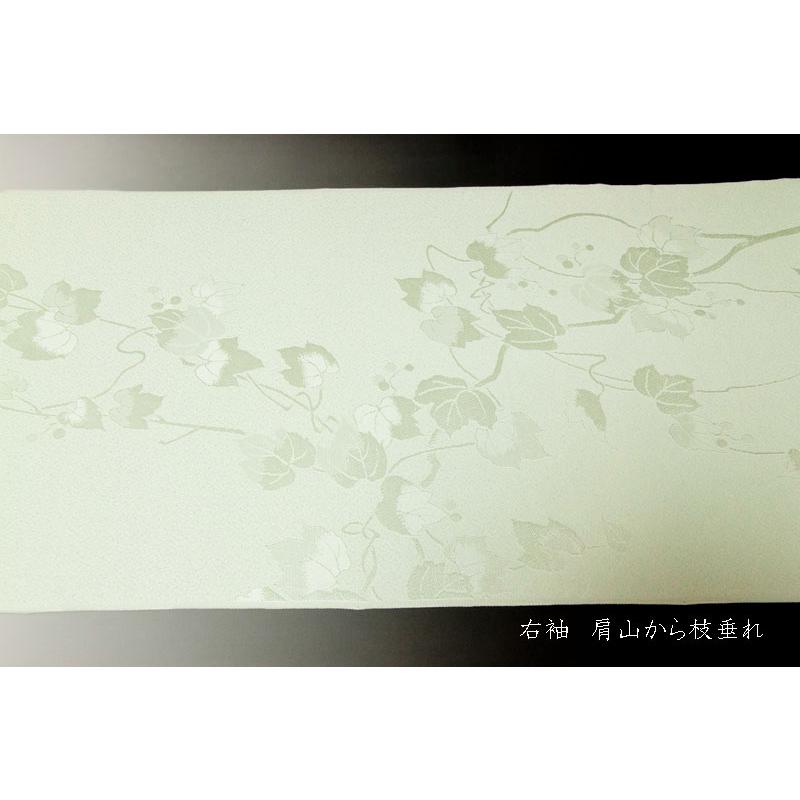 色無地 紋意匠 絵羽柄 ぶどう唐草文 秘色【反物1反・正絹胴裏1枚・正絹