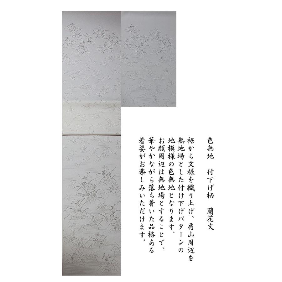 色無地 付下げ柄 蘭花文 砧青磁【反物1反・正絹胴裏1枚・正絹共色八掛1
