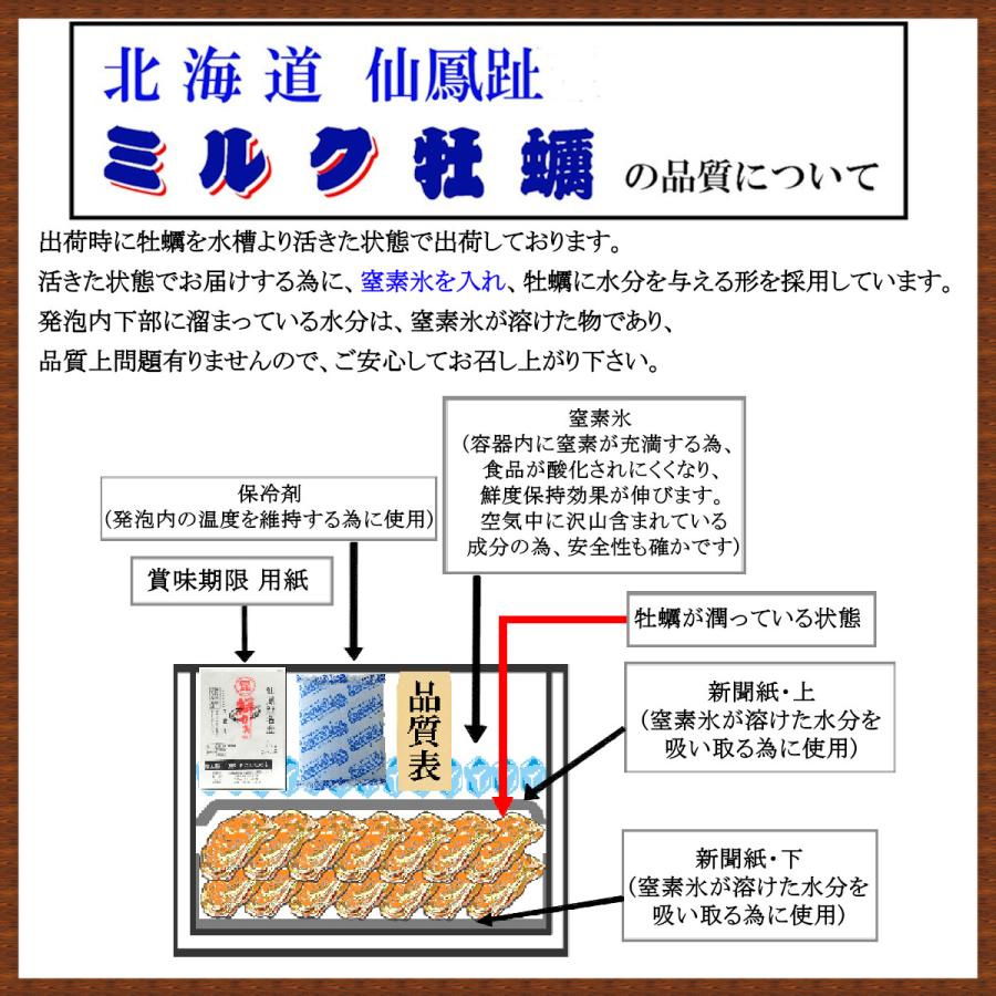 北海道仙鳳趾 殻牡蠣 生食用 Lサイズ30個入 海鮮品牡蠣 BBQ牡蠣 牡蠣おいしい 牡蠣直送 牡蠣 御中元牡蠣 キャンプ牡蠣 牡蠣大粒 牡蠣の殻｜miyama8313｜12