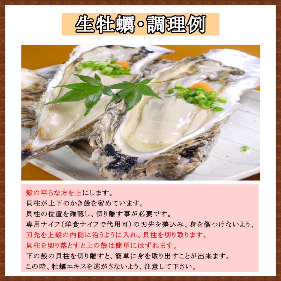 北海道仙鳳趾 殻牡蠣 Mサイズ20個入・むき牡蠣 500g(25玉前後)・牡蠣食気昆布150g 牡蠣生鮮 牡蠣殻付き 生食牡蠣 プレゼント牡蠣 牡蠣北海道 |  | 12