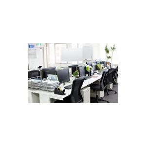 《送料込》 @除菌　手・洗う　SHW-100W　テックコーポレーション　除菌電解水給水器 　　酸性電解水　次亜塩素酸水 【SKC2546959477】(91080円)