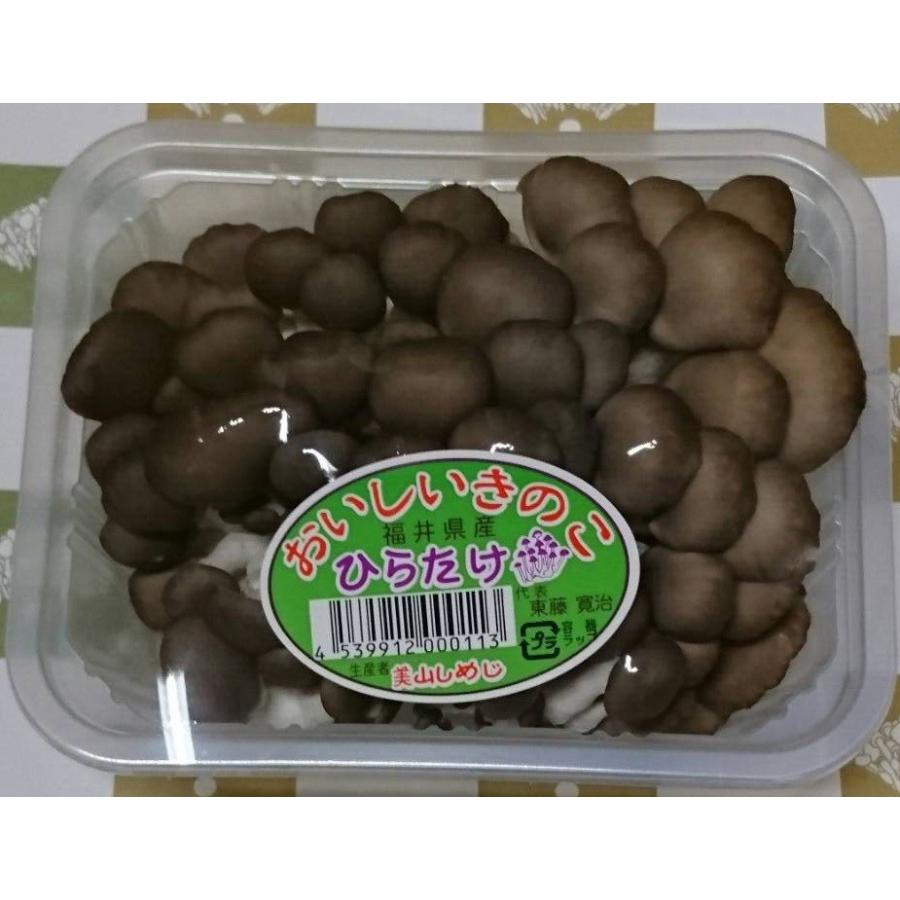 お試し特別価格 ひらたけしめじ １００ｇ Hiratake100 深山の幸 通販 Yahoo ショッピング