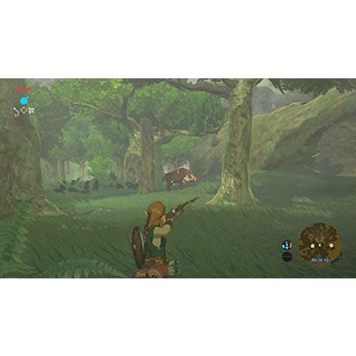 ゼルダの伝説 ブレス オブ ザ ワイルド Wii U｜miyamay｜09