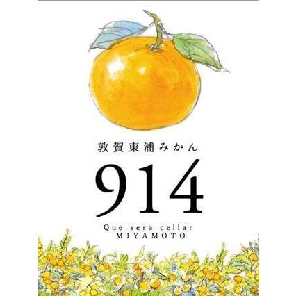 敦賀東浦みかんビール914　　1ケース・24本まとめ買い・送料無料【麦芽100%本格ビール】｜miyamotosaketen