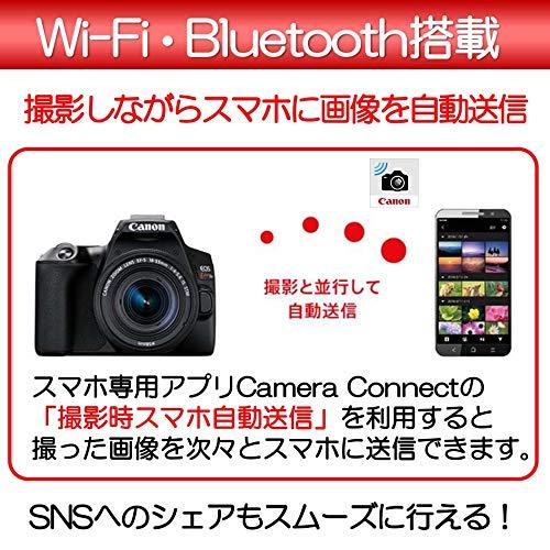 Canon デジタル一眼レフカメラ EOS Kiss X10 標準ズームキット ブラック KISSX10BK-1855ISSTMLK｜miyanojin5｜06