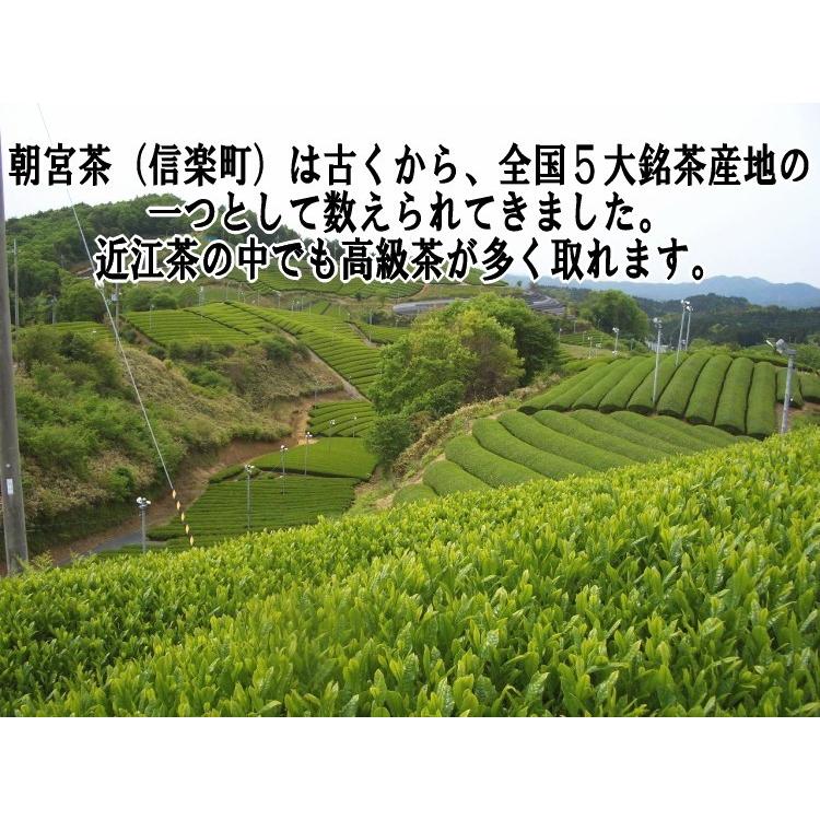 お茶 緑茶 煎茶 高級 近江茶 日本茶 お試し 高級煎茶　朝宮１００ｇ 送料無料 |  | 01