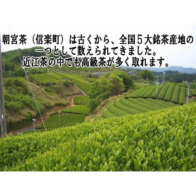 お茶 緑茶 煎茶 高級 近江茶 日本茶 香りさわやかで後味の旨みがおいしい。高級煎茶　極上朝宮１００ｇ｜miyaoen｜03