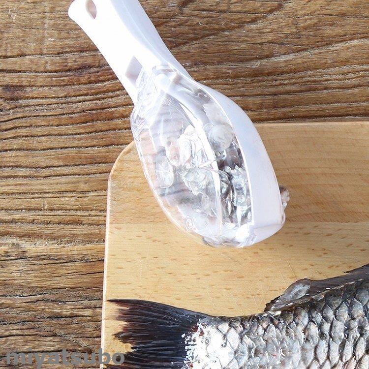 うろこ取り ウロコ取り 鱗取り 鱗発散防止 ケース付き 飛び散らない 魚型 魚鱗クリーナー キッチンツール 鯛 ウロコ 寿司 商用 事務用 お店用 ホーム用 Boss Bjm スーパーみやつぼ 通販 Yahoo ショッピング
