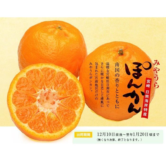 早期予約 みやうらポンカン5kg 30玉L 12/10頃から順次出荷 宮崎 早期予約 みやうらポンカン5kg 30玉L 12/10頃から順次出荷 宮崎