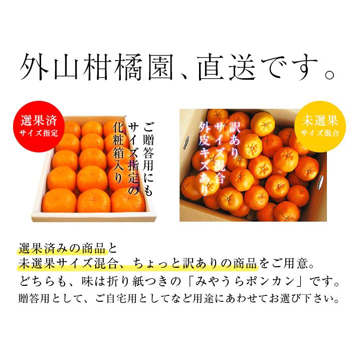 よっちゃん　南柑20号サイズ混合4.5kg×２箱ぐるりん 屋久島産〝完全農薬不使用ぽんかん〟5kgサイズ混合：鹿児島県産