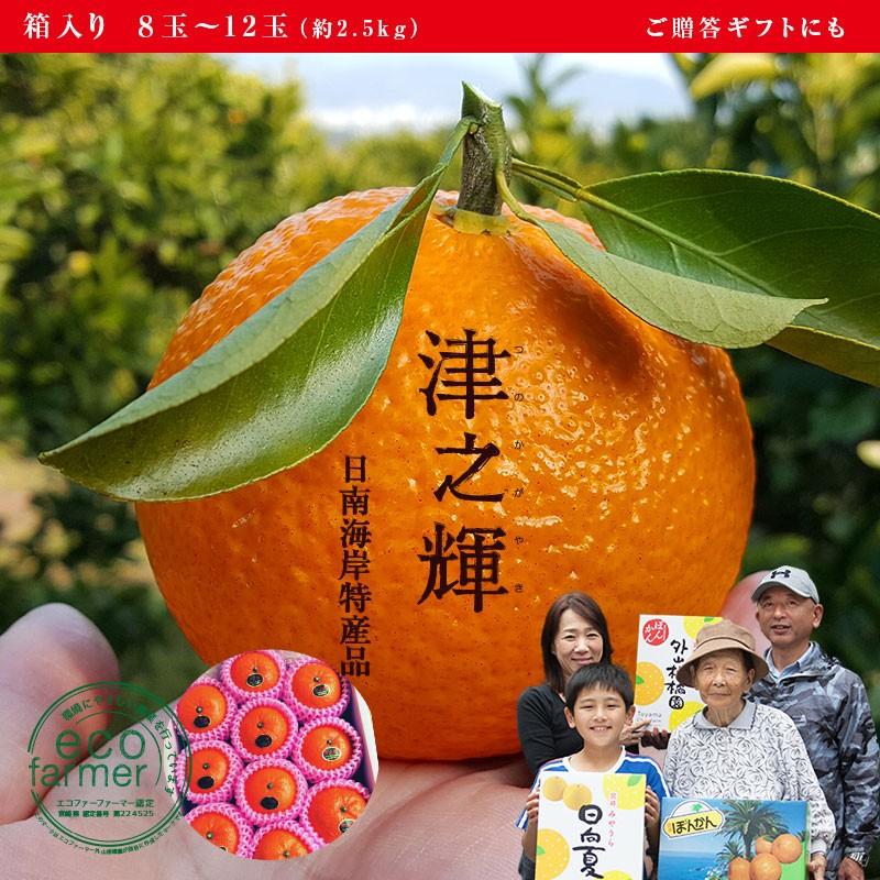 津之輝 8〜12玉（約2.5kg）化粧箱入りギフトにも : ポンカン・日向夏の