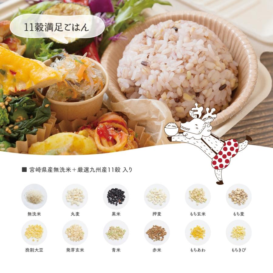 雑穀米 11穀満足ごはん ごほうびごはん DANBO*DELI : みやざき 雑穀米 11穀満足ごはん ごほうびごはん DANBO*DELI : みやざき