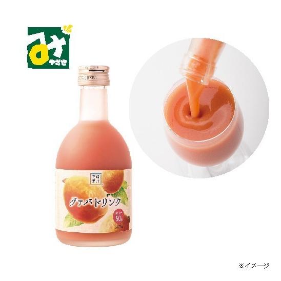 宮崎果汁 グァバ トロピカルフルーツ グァバドリンク 300ml : みやざき