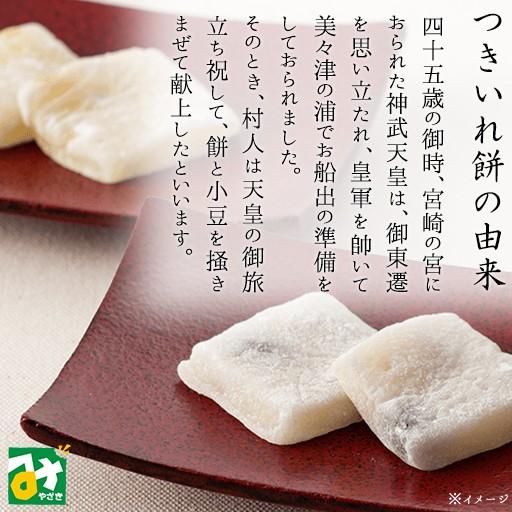 餅菓子 宮崎銘菓 つきいれ餅 6個袋入 金城堂本店 4544608010697 : 142 