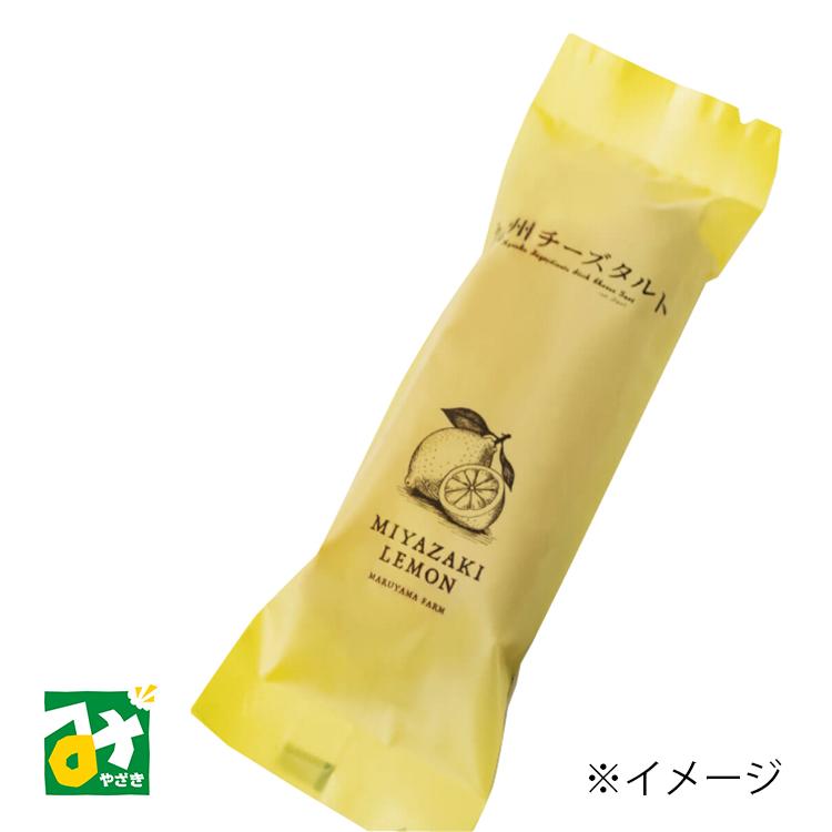 焼き菓子 九州チーズタルト 1本 冷凍品 常温品冷蔵品との同梱不可 九州テーブル | 