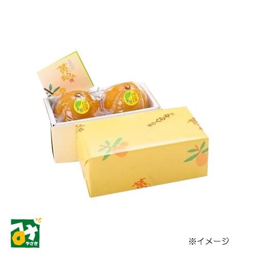 羊羹 日向夏ようかん 黄娘2個入 味のくらや 4521619000220 : みやざき