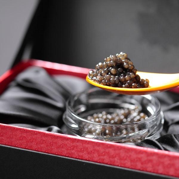CAVIAR キャビア 10g✕12個セット 宮崎県産 キャビア 宮崎 椎葉平家キャビア 化粧箱入り 10g 低塩分 完熟