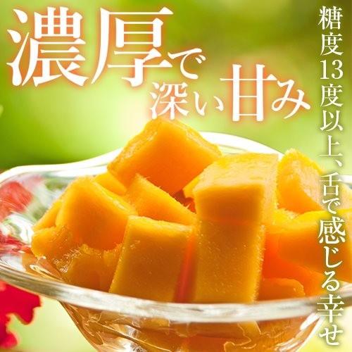 2025 宮崎完熟マンゴー 秀品-極上玉（赤秀) 特大サイズ×2玉 宮崎