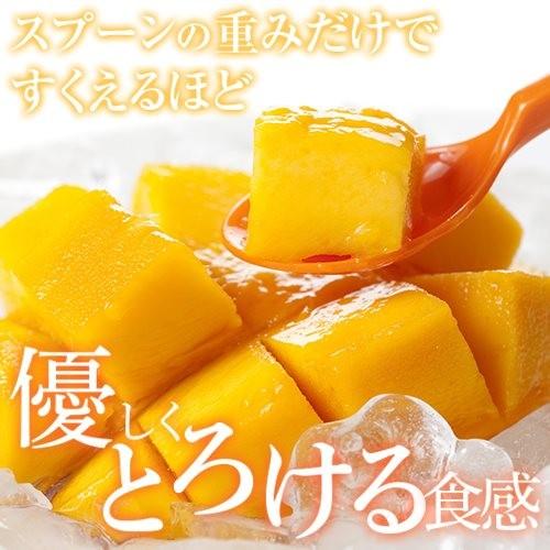 6月上旬頃より順次発送】2026 宮崎完熟マンゴー 秀品-極上玉（赤秀